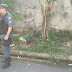  Corpo esquartejado é encontrado em calçada de Manaus 
