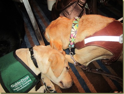 Vienna and Wendy sleeping face to face.