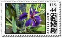 purple water iris postage stamps