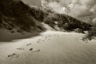 Niels Christian Wulff, fotografía de la naturaleza