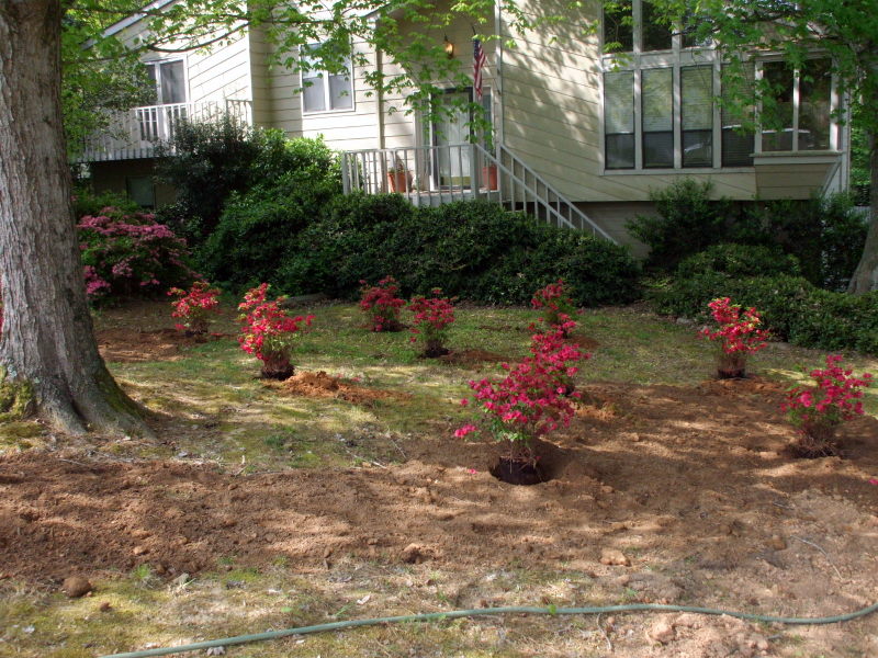 Atlanta Ga Landscaping