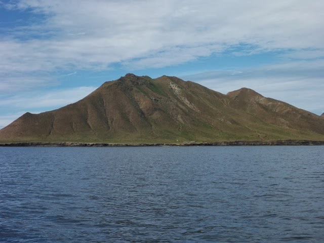 P1010586