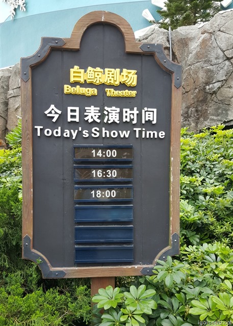 Chimelong Ocean Kingdom in Zhuhai - Beluga theater show times