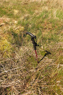 A five-foot walking pole submerged to the handle in a bog concealed by the grass.