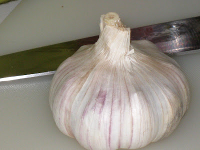 Whole fresh garlic bulb