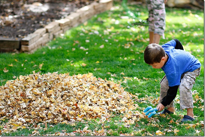 LEaves4