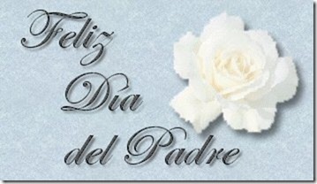 111 - dia del padre (24)