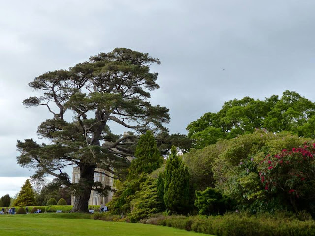 visite parc national de Killarney Irlande