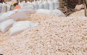 http://www.newzimbabwe.com/news-21392-Zimbabwe+to+buy+maize+from+Zambia/news.aspx