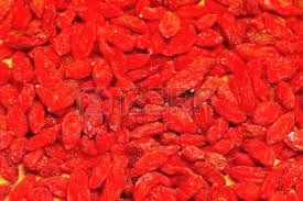 Goji Berry Fruit