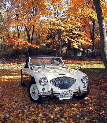 Austin Healey Cars