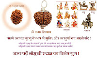 9 mukhi rudraksha, 9 face rudraksha, nine face rudraksha,