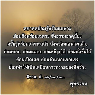 ปฏิจจสมุปบาท ในฐานะเป็นกฎสูงสุดของธรรมชาติ อิทัปปัจยตา