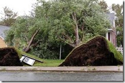 Igor Damage
