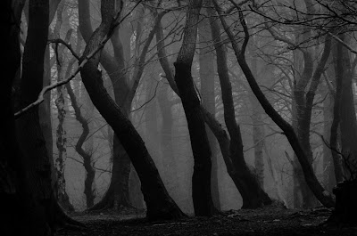 Surreal . Fine Art . Conceptual Photography/ Arts: Concept of nature