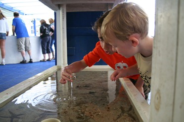 Beach 2012-10-07 165