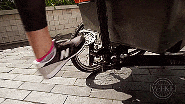 Salamander Cycle Stroller, This Stuff Transforms Instantly From A Bicycle To A Stroller Or Cart Salamander Cycle Stroller, This Stuff Transforms Instantly From A Bicycle To A Stroller Or Cart