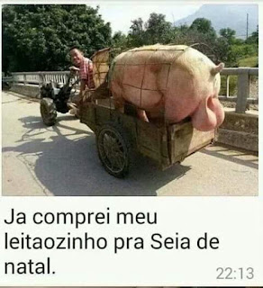 Já comprei meu leitãozinho pra ceia de natal