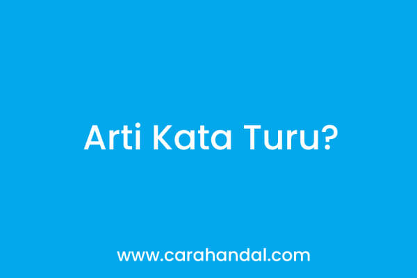 Arti Kata Turu dalam Bahasa Gaul, Ini Penjelasannya!