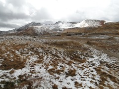 DSC03558