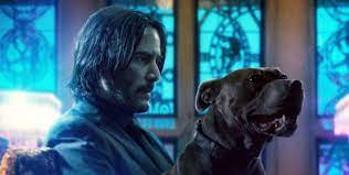 John Wick - serial, filmy, keanu reeves