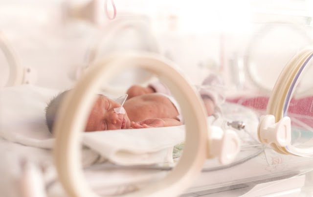  Navigating Newborn Medical Care: A Parent's Comprehensive Guide
