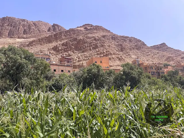 Todgha Valley at Tinerhir Oasis, Atlas Mountains, Morocco, Africa