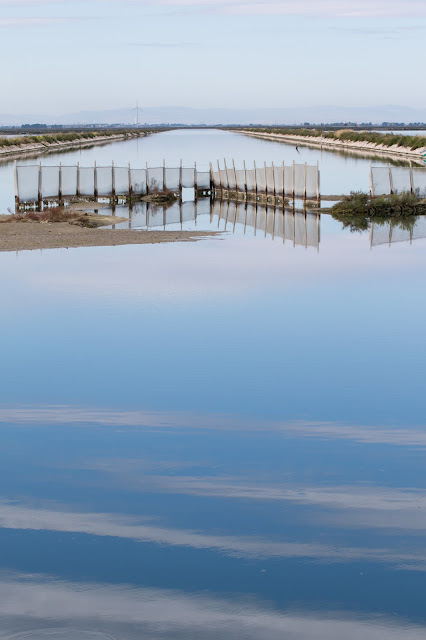 Saline di Margherita di Savoia