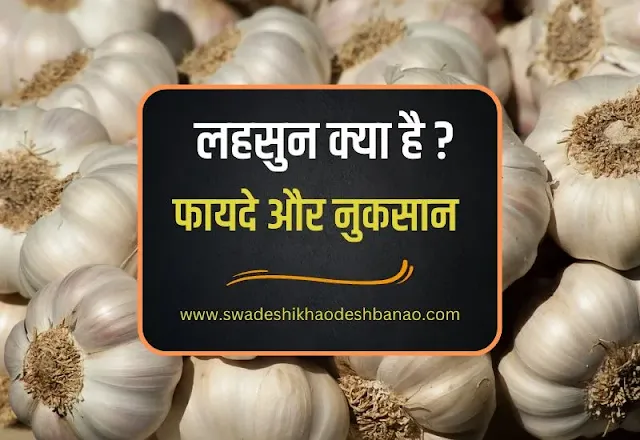about Garlic in Hindi