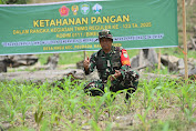 Komandan Satgas TMMD Ke-123 Tinjau Ketahanan Pangan di Lokasi Sasaran