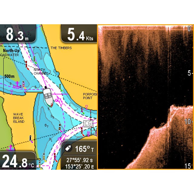 Raymarine Dragonfly 4 y 5 PRO