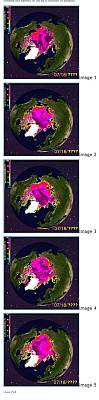 global ice 1988-2008