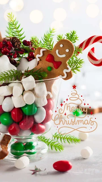 Best Merry Xmas Happy New Year Images