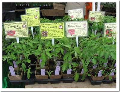 monkshood tomato transplants
