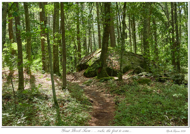 Great Brook Farm: ... rocks, the first to come...