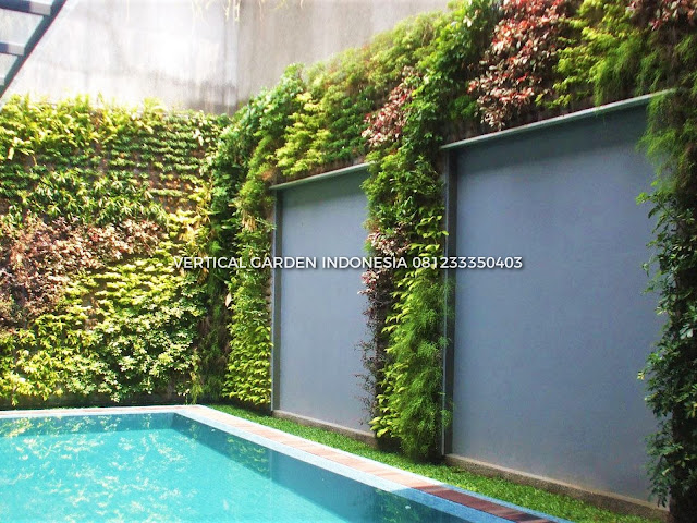 VERTICAL GARDEN INDONESIA SPESIALIS JASA PEMBUATAN VERTICAL GARDEN DI DENPASAR BALI  DAN DI SELURUH WILAYAH DENPASAR BALI  DENGAN TENAGA YANG PROFESIONAL DAN DAPAT DI PERCAYA YANG SELALU MENGUTAMAKAN SEBUAH MUTU DAN KUALITAS PEMASANGAN VERTICAL GARDEN/TAMAN DINDING, JASA TUKANG TAMAN VERTICAL DENPASAR BALI , JASA VERTICAL GARDEN DENPASAR BALI