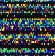 Séquençage de l'ADN.