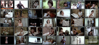 L'immoralità / Cock Crows at Eleven. 1978. DVD.