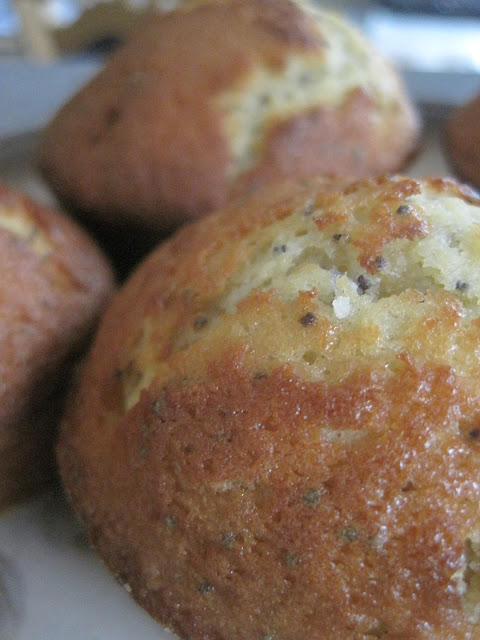 Lemon and poppy seed muffins