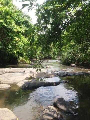 කුරුණෑගල මගුරු ඔය අසබඩ - උපරිම නිදහසක් 🌳🪴🌺🍃 (Maguru Oya Asabada) - Your Choice Way