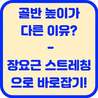 골반 높이가 다른 이유? 장요근 스트레칭으로 바로잡기!