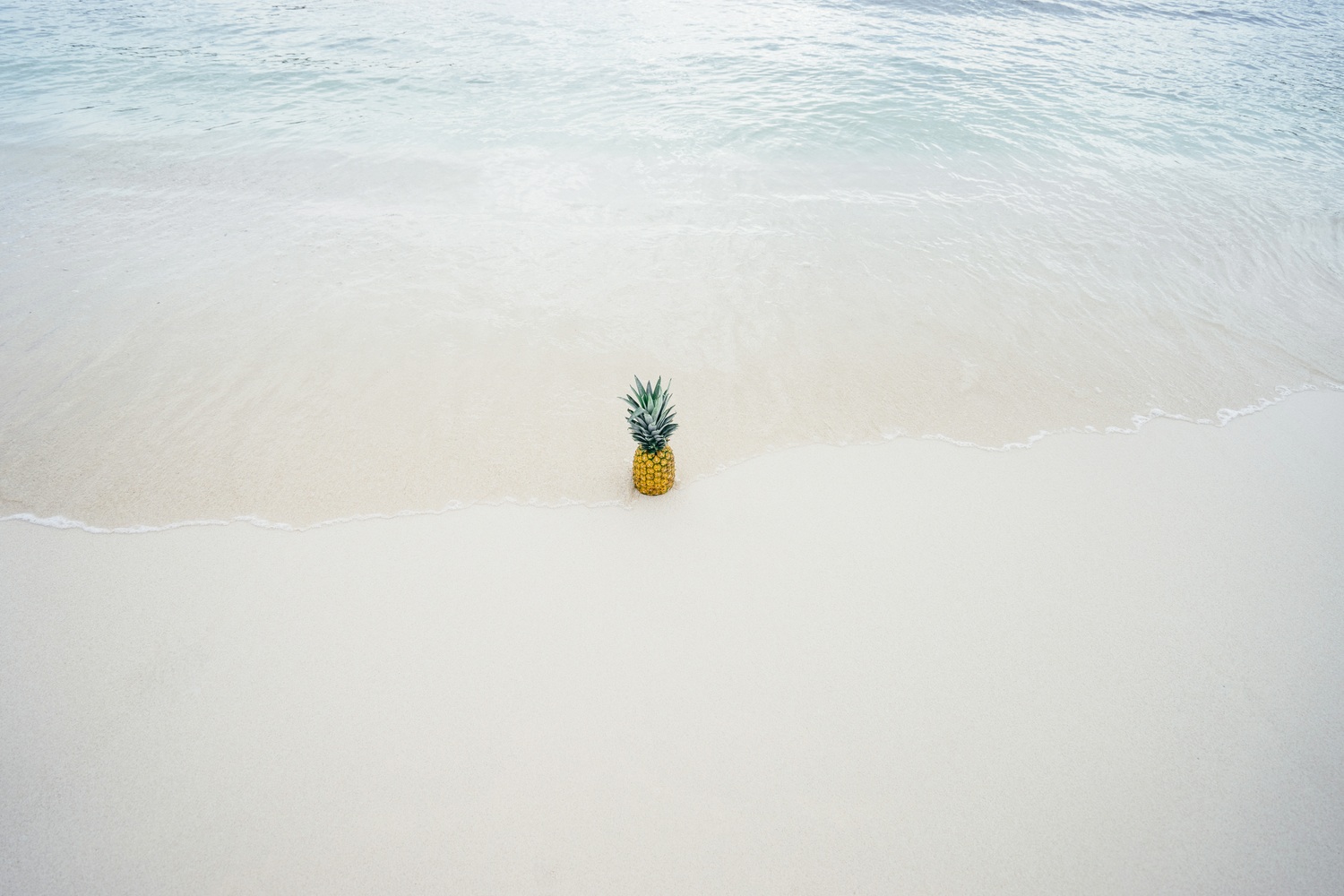 ananas, summer, plage, 