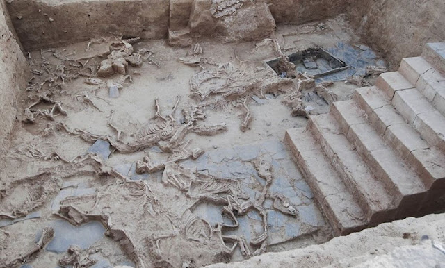 Τα οστά ζώων που εντοπίστηκαν από τους αρχαιολόγους στον αρχαιολογικό χώρο Casas del Turuñuelo. [Credit : Construyendo Tarteso, CC-BY 4.0]