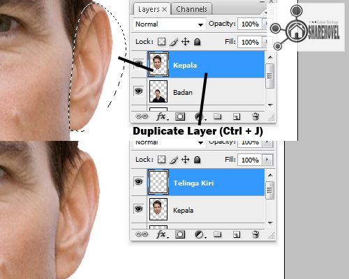 Duplicate layer ctrl j - Mengubah Foto Menjadi Karikatur Dengan Photoshop