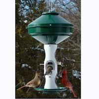 Seed Bird Feeder