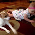 Enternecedor video en el que un perro enseña a gatear a una bebé