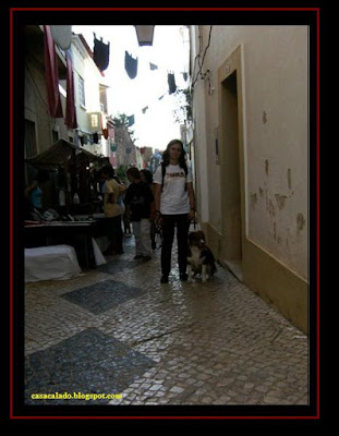 Australian Shepherd in Silves