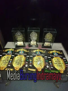 Apa Jadinya Jika Tiga Tim Burung Indramayu yang Disegani ini Bertemu di Satu Acara!!