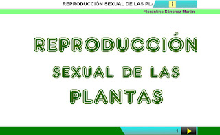  REPRODUCCIÓN DE LAS PLANTAS