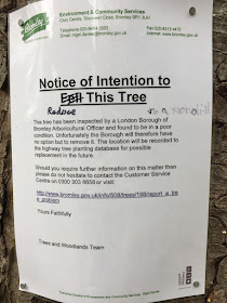 Notice on Horse-chestnut trees.  The Knoll, Hayes, 29 October 2016